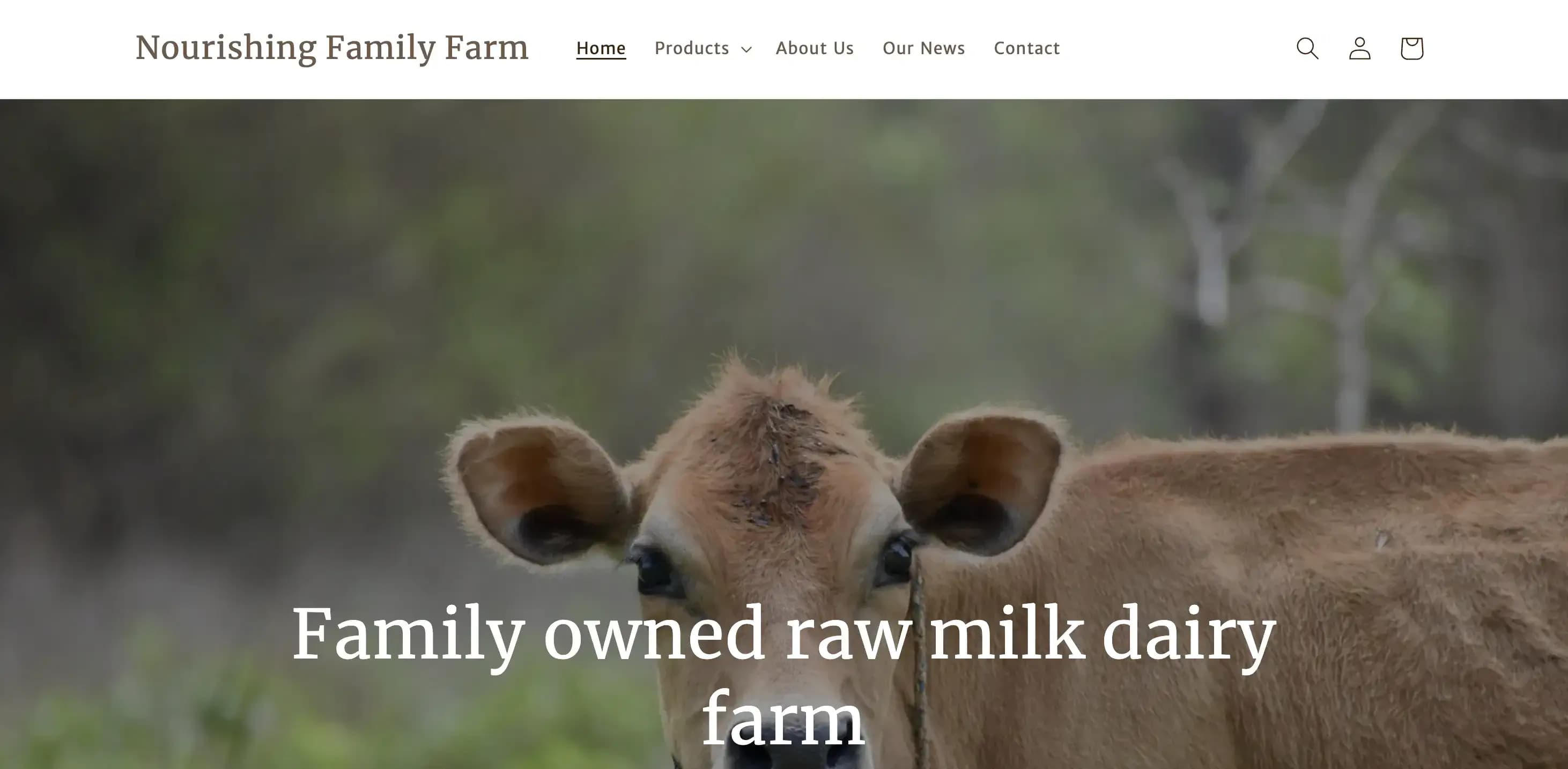 Nourishing Family Farm homepage